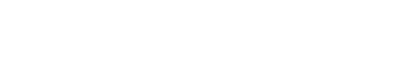 Publifyer